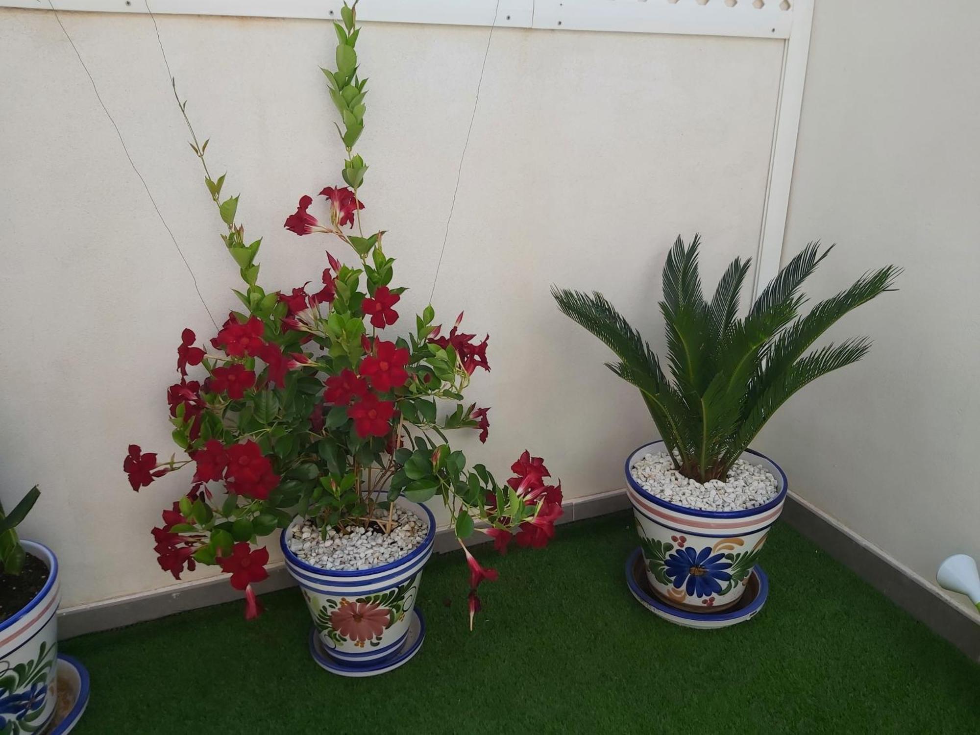 Apartament To Be In Malaga